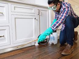 Best Residential Pest Control  in Hartville, OH